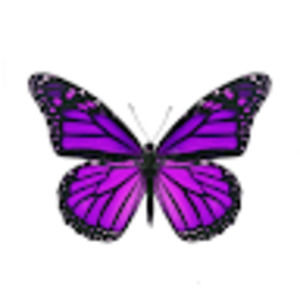 Meet your Posher, Eliska